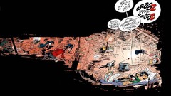 Animals cats Birds Books sleeping Belgium comics Gaston Lagaffe 