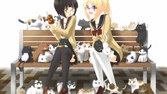 Animals cats food Shoes bench glasses fangs sitting shirts 