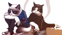 Animals cats grumpy cat tard