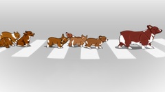 Animals cowboy bebop Dogs