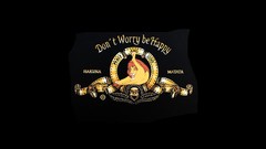 Animals dark love black background funny peace Lions licking 