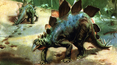 Animals Dinosaurs extinction Stegosaurus