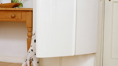 Animals Dogs Dalmatians animal