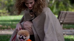 Animals Dogs pets pomeranian boo