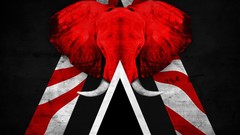 Animals elephants tribute artwork music bands The White Stripes 