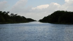 Animals everglades Everglades Holiday Park