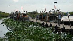 Animals everglades Everglades Holiday Park