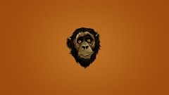 Animals eyes head faces monkeys apes minimalistic dusky 