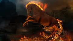 Animals fire brown Horses