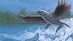 Animals for could thanks The cities get flyingshark