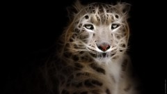 Animals Fractalius snow leopards