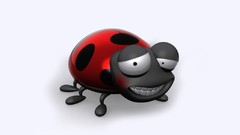 Animals funny Simple Background