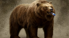 Animals glasses sunglasses Bears