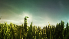Animals Green depth of field Photo manipulation Reptiles gecko