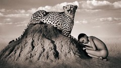 Animals Gregory Colbert Ashes and Snow