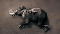Animals Gregory Colbert Ashes and Snow