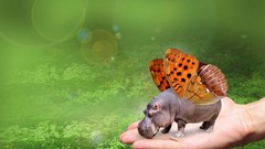 Animals hippopotamus tiny