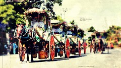 Animals Horses Philippines Manila DNDESIGN intramuros