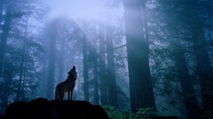 Animals howling wolf Wolves