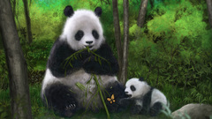 Animals illustrations panda bears