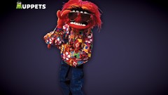 Animals Jim Henson the muppets