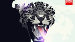 Animals Leopards artwork Bram Vanhaeren