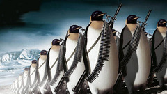 Animals Linux tux Penguins