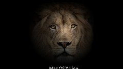 Animals Lions mac os x operational sistem