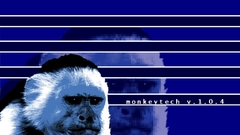 Animals monkeys primates animal