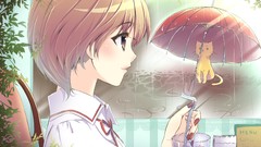 Animals rain cats windows chairs Plants Umbrellas Profile 