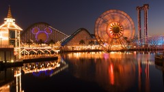 Animals reflections ferris wheels