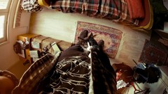 Animals room cats beds Apartments looking down climbing bedroom 