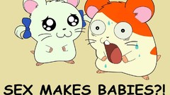 Animals sex shock babies hamsters hamtaro