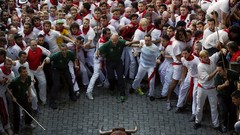 Animals show horns Bulls festival humans