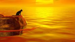 Animals silhouettes rocks ripples