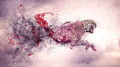 Animals smoke Birds abstract Leopards roar Photo manipulation 