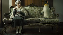 Animals Sofa grandmother Penguins