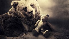 Animals surrealism Bears digital sarolta ban