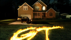 Animals The feed high Resolution