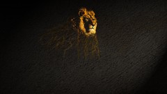 Animals The King artwork