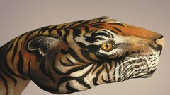 Animals Tigers Photo manipulation artwork digital art World 