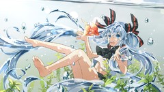 Animals water feet fish Plants goldfish navel underwater 