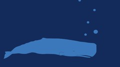 Animals Whales minimalistic blue whale