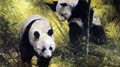 Animals wildlife spencer hodge artwork panda bears