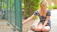 Animals woman Birds Chloe blondes blue eyes models upskirt 