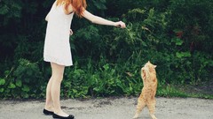Animals woman cats playing pets redheads domestic cat