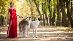Animals woman Dogs red dress legs blondes barsoi