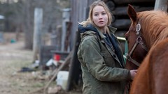 Animals woman Horses Actress blondes jennifer lawrence girls 