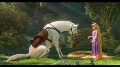 Animation tangled