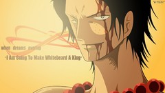 Anime ace portgas d ace Quotes One Piece (anime)